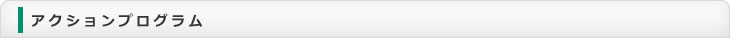 アクションプログラム